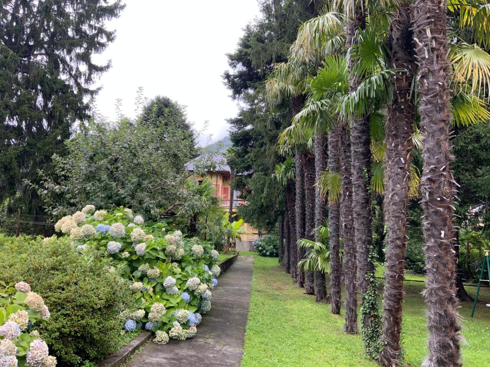 Villa Del Castanar Maccagno Zewnętrze zdjęcie