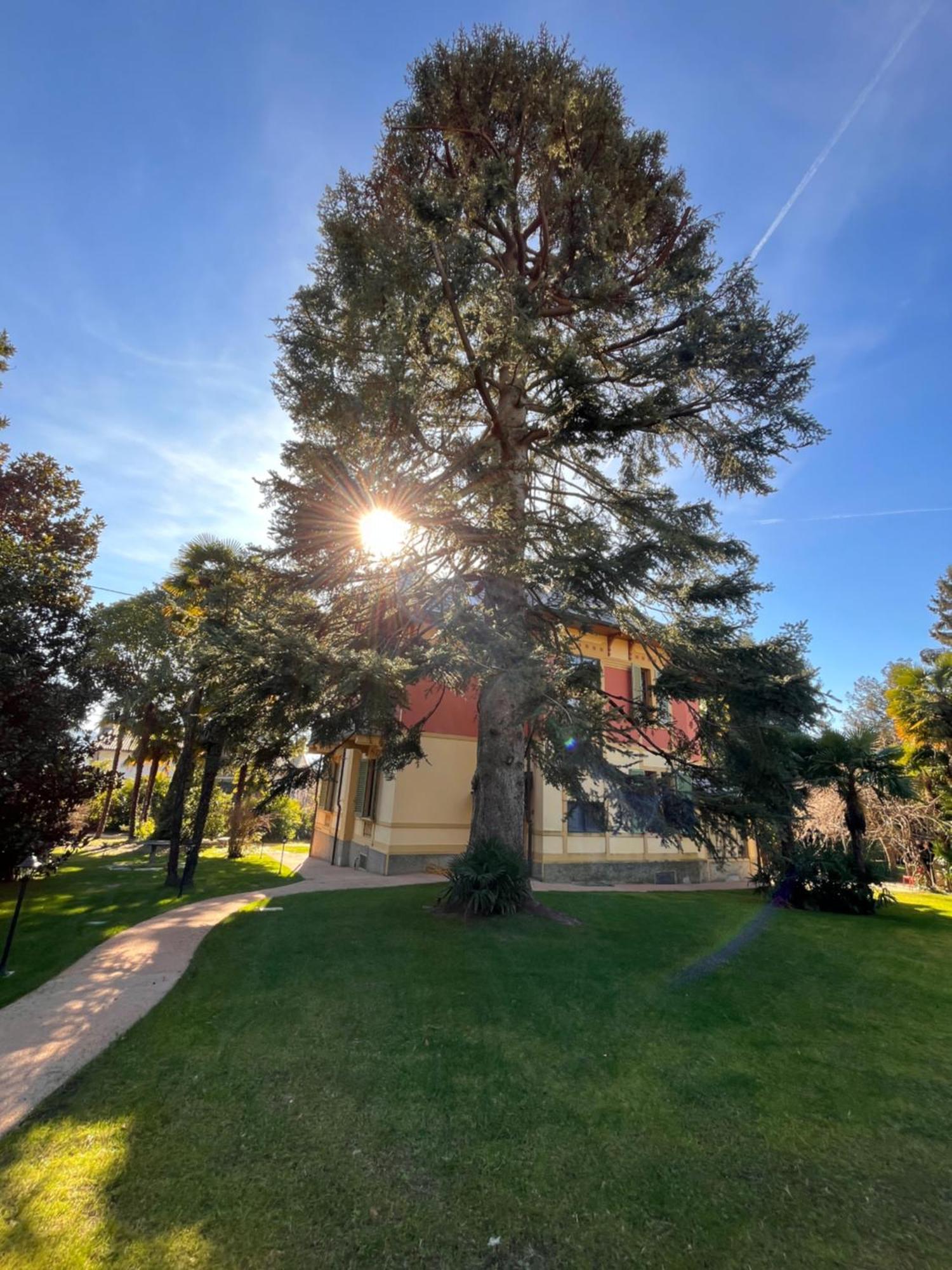 Villa Del Castanar Maccagno Zewnętrze zdjęcie